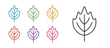 Satır Yaprak simgesini beyaz arkaplanda izole et. İşaret bırakıyor. Taze doğal ürün sembolü. Simgeleri renklendirin. Vektör