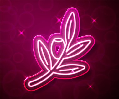 Glowing neon line Olives branch icon isolated on red background.  Vector