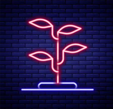 Parlayan neon hattı ikonu tuğla duvar arka planında izole edilmiş. Tohum ve tohum. İşaret bırakıyor. Yaprak doğası. Renkli taslak konsepti. Vektör