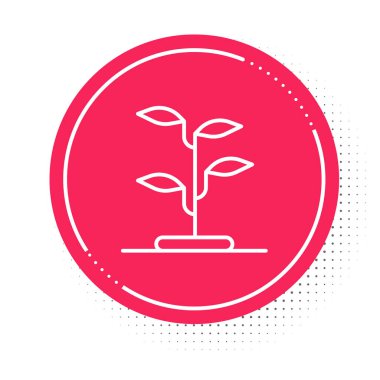 Beyaz çizgi filiz simgesi beyaz arkaplanda izole edildi. Tohum ve tohum. İşaret bırakıyor. Yaprak doğası. Kırmızı daire düğmesi. Vektör