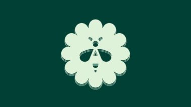 Çiçek ikonundaki beyaz arı yeşil arka planda izole edilmiş. Tatlı doğal yemek. Bal arısı ya da kanat sembollü apis. Uçan böcek. 4K Video hareketli grafik canlandırması.