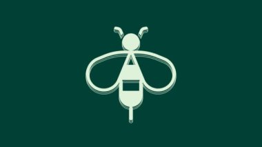 Beyaz Arı simgesi yeşil arkaplanda izole edildi. Tatlı doğal yemek. Bal arısı ya da kanat sembollü apis. Uçan böcek. 4K Video hareketli grafik canlandırması.