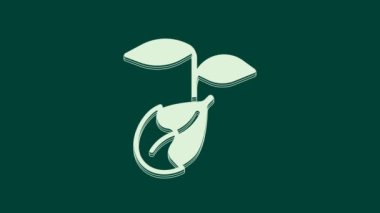 Beyaz Filiz simgesi yeşil arkaplanda izole edildi. Tohum ve tohum. İşaret bırakıyor. Yaprak doğası. 4K Video hareketli grafik canlandırması.