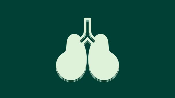 Beyaz Akciğerler Simgesi Yeşil Arkaplanda Izole Edildi Video Hareketli Grafik — Stok video