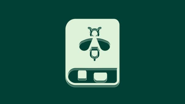 关于蜜蜂图标的白皮书被隔离在绿色背景中 甜甜的天然食物有翅膀符号的蜜蜂或蚜虫 飞虫4K视频运动图形动画 — 图库视频影像