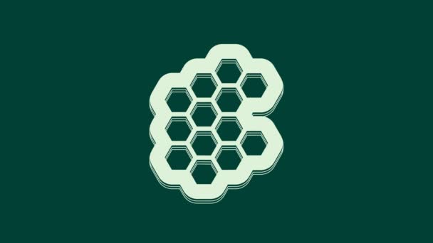 白色蜂窝图标隔离在绿色背景 蜂蜜细胞的象征 甜甜的天然食物4K视频运动图形动画 — 图库视频影像