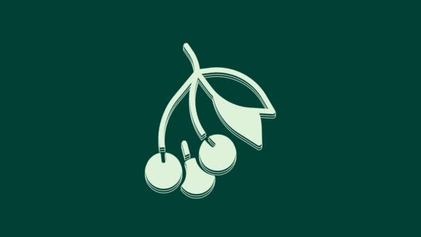Ikona Białych Świeżych Jagód Odizolowana Zielonym Tle Jagodowy Owoc Animacja — Wideo stockowe