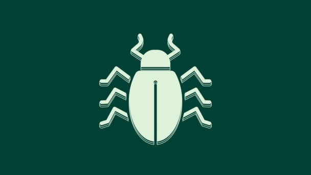 緑の背景に隔離された白いコロラド甲虫のアイコン 4Kビデオモーショングラフィックアニメーション — ストック動画