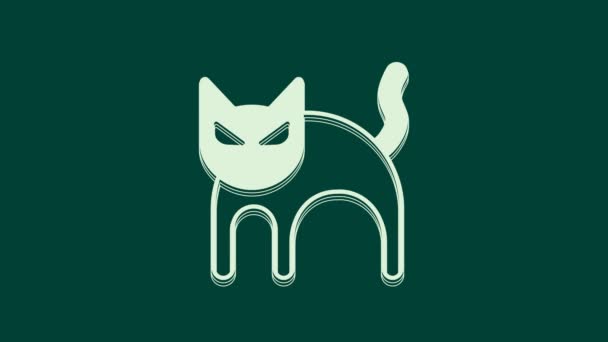Ícone Gato Preto Branco Isolado Fundo Verde Feliz Festa Halloween — Vídeo de Stock