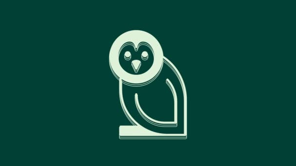 Ikona Ptáka Bílá Sova Izolované Zeleném Pozadí Zvířecí Symbol Grafická — Stock video