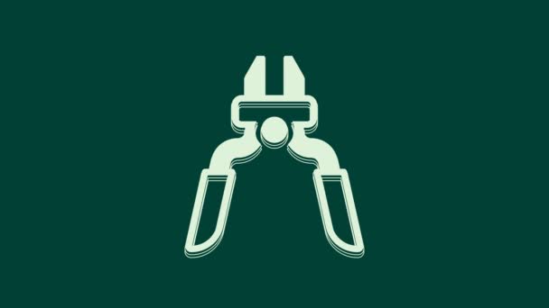 White Pliers Tool Icon Isolated Green Background Pliers Work Industry — Stock Video