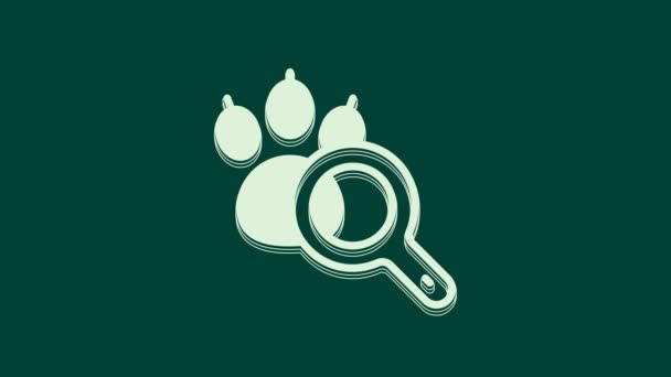 Ikona Wyszukiwania White Paw Odizolowana Zielonym Tle Szkło Powiększające Śladami — Wideo stockowe