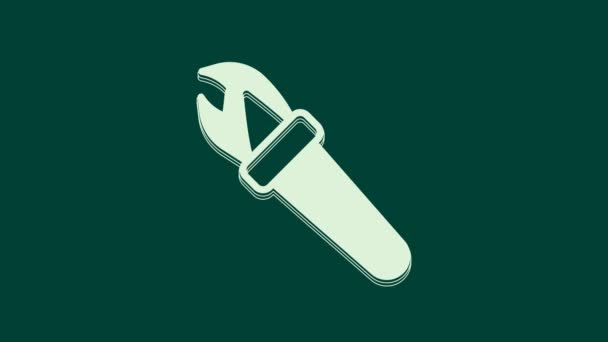 White Torch Flame Icon Isolated Green Background Symbol Fire Hot — Stock Video