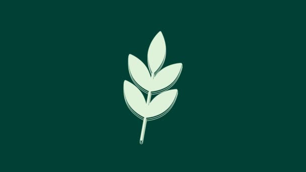 Εικονίδιο White Leaf Απομονώνεται Πράσινο Φόντο Αφήνει Σημάδι Φρέσκο Φυσικό — Αρχείο Βίντεο