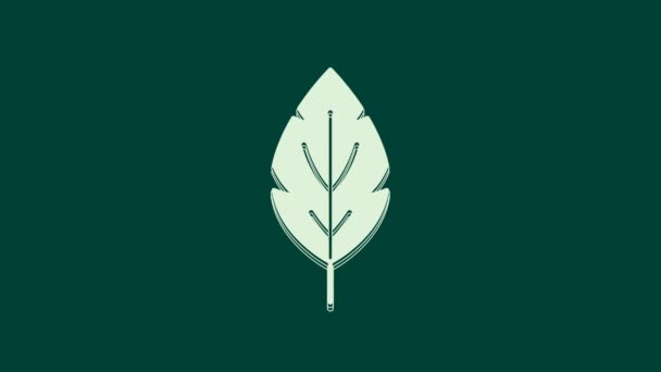 White Leaf Ikonen Isolerad Grön Bakgrund Lämnar Tecken Färsk Naturprodukt — Stockvideo