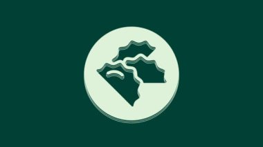 Yeşil arkaplanda beyaz hamur ikonu izole edildi. Geleneksel Çin yemeği. 4K Video hareketli grafik canlandırması.