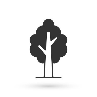 Gri ağaç simgesi beyaz arkaplanda izole edildi. Orman sembolü. Vektör