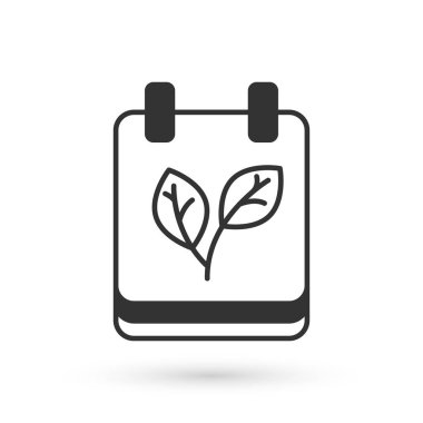 Gri Takvim, sonbahar yaprakları simgesini beyaz arkaplanda izole etti. Vektör