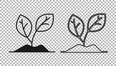 Siyah filiz simgesi şeffaf arkaplanda izole edildi. Tohum ve tohum. İşaret bırakıyor. Yaprak doğası. Vektör