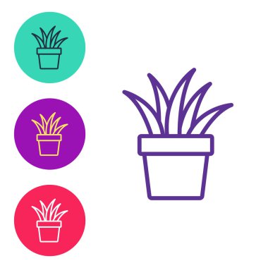 Çömlek simgesindeki çizgi bitkisi beyaz arkaplanda izole edildi. Tencerede yetişen bir bitki. Saksı bitkisi işareti. Simgeleri renklendirin. Vektör