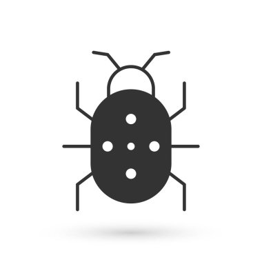 Beyaz arka planda gri Colorado böceği ikonu izole edildi. Vektör