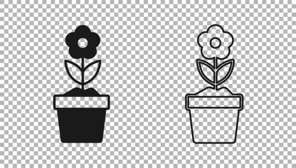 Μαύρο Λουλούδι Στο Εικονίδιο Ποτ Απομονώνονται Διαφανές Φόντο Φυτό Που — Διανυσματικό Αρχείο