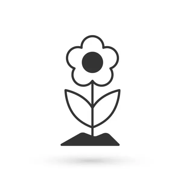 Иконка Серый Цветок Выделена Белом Фоне Вектор — стоковый вектор