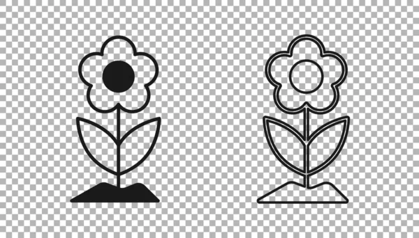 Black Flower Icon Isolated Transparent Background Vector — Stock Vector