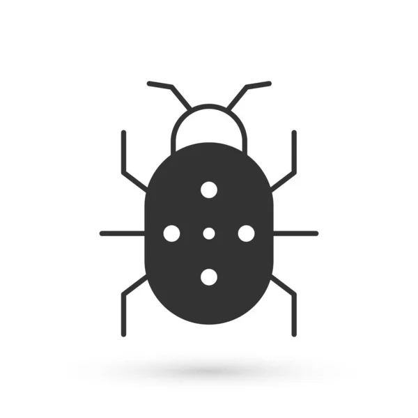 Grey Colorado Beetle Icon Isolated White Background Vector — Stock Vector