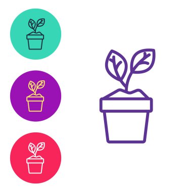 Çömlek simgesindeki çizgi bitkisi beyaz arkaplanda izole edildi. Tencerede yetişen bir bitki. Saksı bitkisi işareti. Simgeleri renklendirin. Vektör