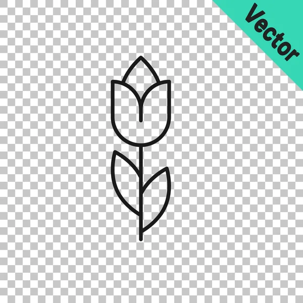 Schwarze Linie Blume Tulpe Symbol Isoliert Auf Transparentem Hintergrund März — Stockvektor