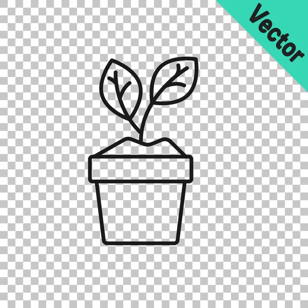 Schwarze Linie Pflanze Topf Symbol Isoliert Auf Transparentem Hintergrund Pflanze — Stockvektor