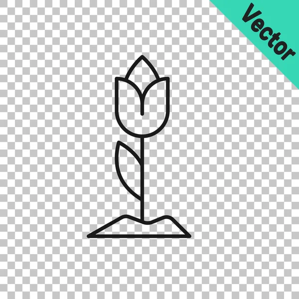 Черная Линия Цветок Тюльпан Значок Изолирован Прозрачном Фоне Вектор — стоковый вектор