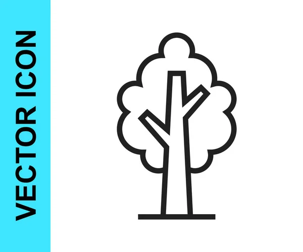 Icono Árbol Línea Negra Aislado Sobre Fondo Blanco Símbolo Forestal — Vector de stock