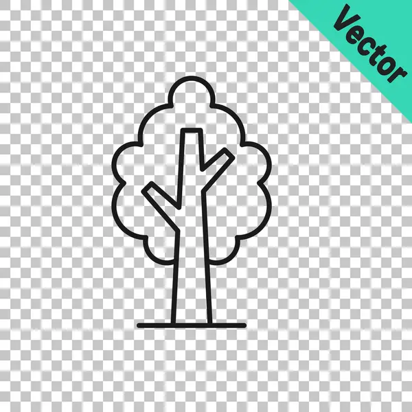 Icono Árbol Línea Negra Aislado Sobre Fondo Transparente Símbolo Forestal — Vector de stock