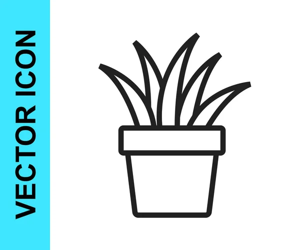Schwarze Linie Pflanze Topf Symbol Isoliert Auf Weißem Hintergrund Pflanze — Stockvektor