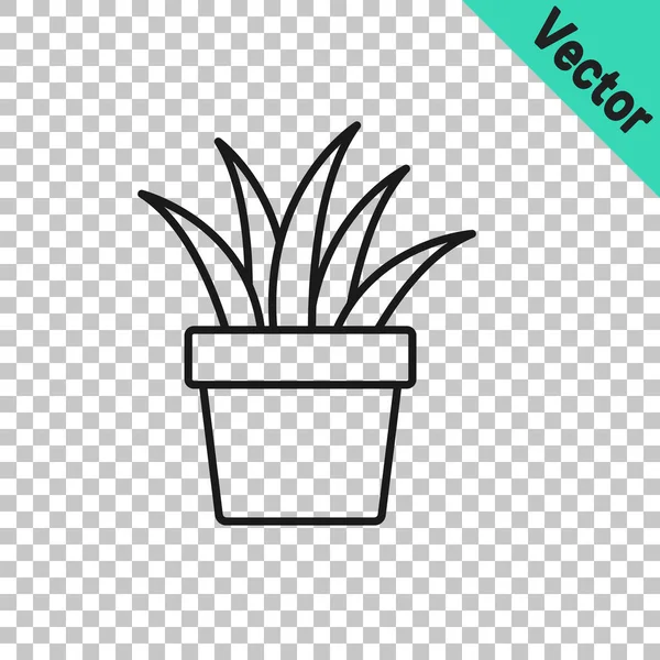 Ligne Noire Plante Pot Icône Isolée Sur Fond Transparent Plante — Image vectorielle