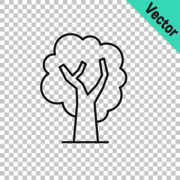 Schwarze Linie Baum Symbol Isoliert Auf Transparentem Hintergrund Symbol Wald — Stockvektor