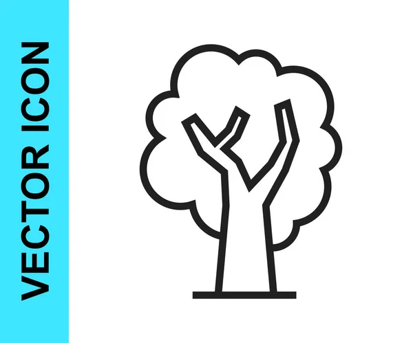 Icono Árbol Línea Negra Aislado Sobre Fondo Blanco Símbolo Forestal — Vector de stock