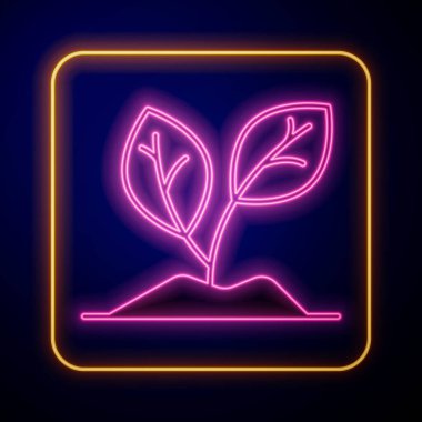 Parlayan neon filizi simgesi siyah arkaplanda izole edildi. Tohum ve tohum. İşaret bırakıyor. Yaprak doğası. Vektör