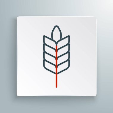 Beyaz zemin üzerinde pirinç, buğday, mısır, yulaf, çavdar ve arpa ikonu bulunan mısır gevrekleri. Buğday ekmeği sembolleri. Renkli taslak konsepti. Vektör