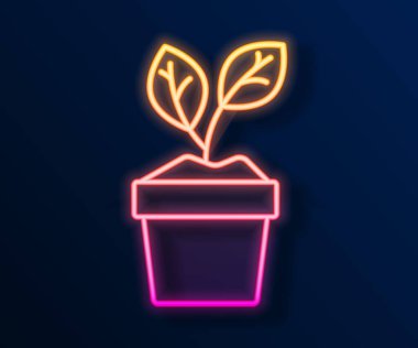 Parlayan neon hattı. Esrar ikonundaki bitki siyah arkaplanda izole edilmiş. Tencerede yetişen bir bitki. Saksı bitkisi işareti. Vektör