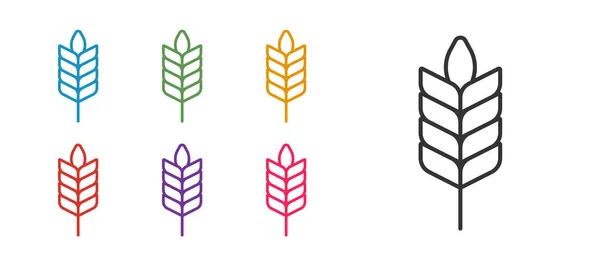 以大米 大麦图标为背景 以白色背景为背景 设置一系列谷物 麦片面包的象征 设置彩色图标 — 图库矢量图片