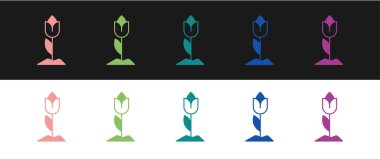 Çiçek lale simgesini siyah ve beyaz arkaplanda izole et. Vektör