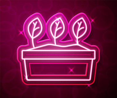 Parlayan neon hattı. Kırmızı arkaplanda tencere simgesinde bitki var. Tencerede yetişen bir bitki. Saksı bitkisi işareti. Vektör