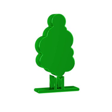 Şeffaf arkaplanda yeşil ağaç simgesi izole edildi. Orman sembolü. 