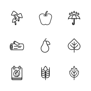 Buğday, Yaprak, Armut, Şemsiye ve yağmur damlaları, Mantar, Elma ve Ahşap ikonu. Vektör