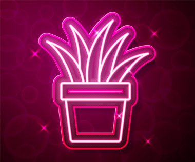 Parlayan neon hattı. Kırmızı arkaplanda tencere simgesinde bitki var. Tencerede yetişen bir bitki. Saksı bitkisi işareti. Vektör
