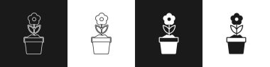 Çiçeği siyah ve beyaz arkaplanda izole edilmiş bir saksı simgesinde ayarla. Tencerede yetişen bir bitki. Saksı bitkisi işareti. Vektör