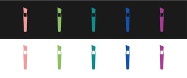 Boya fırçası simgesini siyah ve beyaz arkaplanda izole et. Vektör